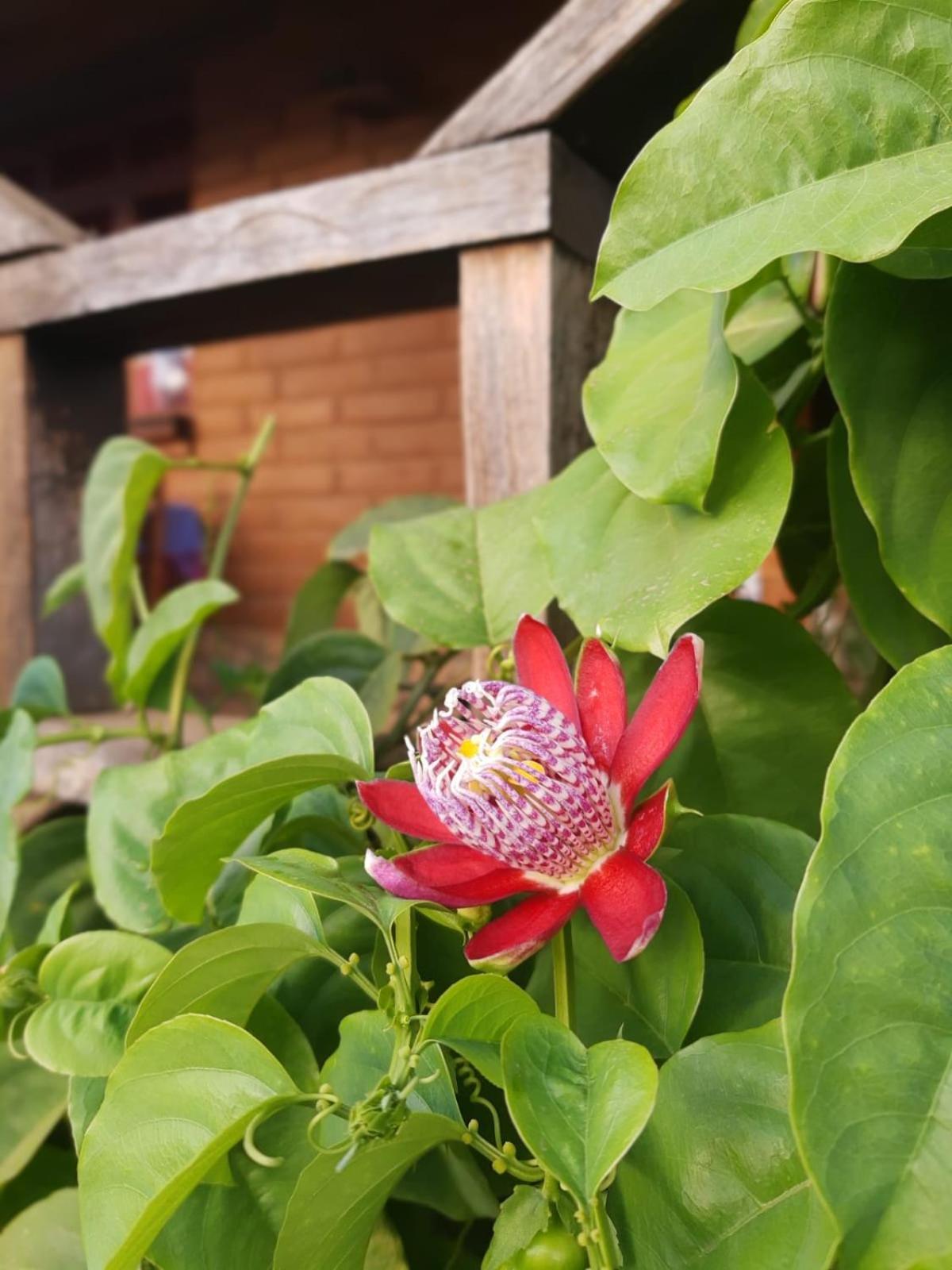 Huayapam Yu'U Lodge San Andrés Huayapan Zewnętrze zdjęcie